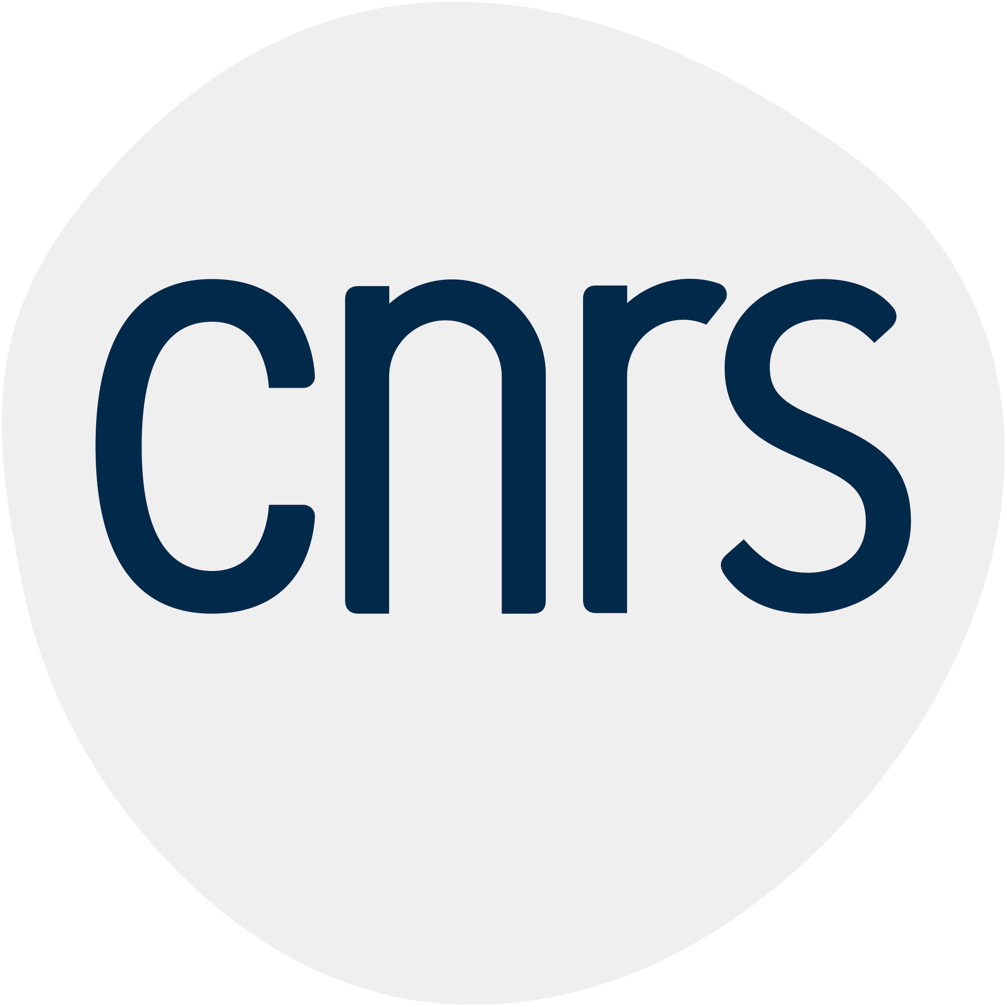  logo CNRS