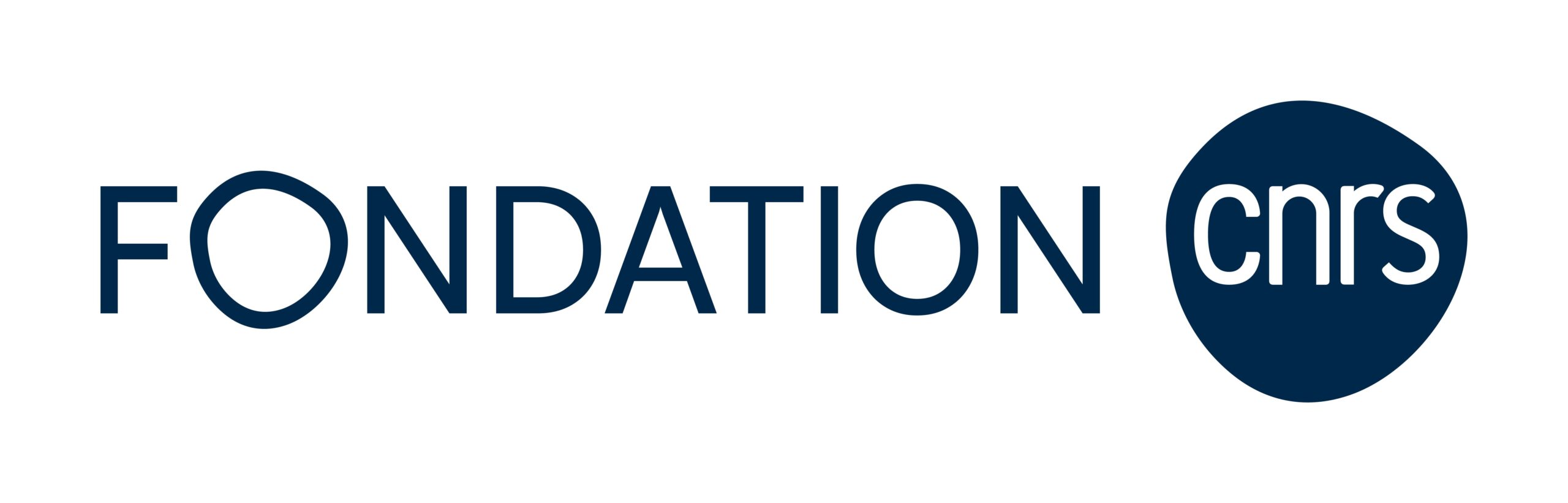  logo Fondation CNRS